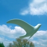 birds in flight | pale sky