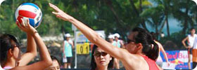 Social Beach Nets