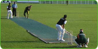 Cricket