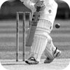 Cricket