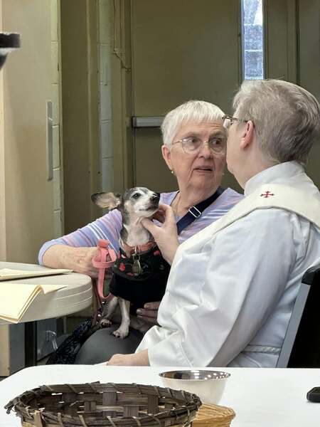 Pet Blessing