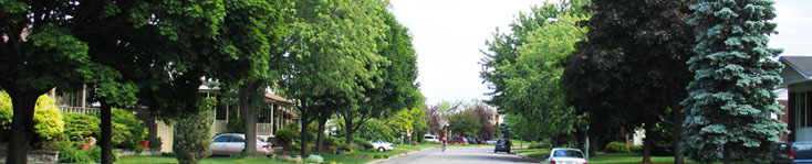 Original