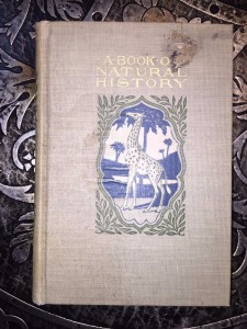 A-Book-of-Natural-History-Thomas-B-Aldrich-Vol-XIV-of-Young-Folks-Library-291522834795 A-Book-of-Natural-History-Thomas-B-Aldrich-Vol-XIV-of-Young-Folks-Library-291522834795