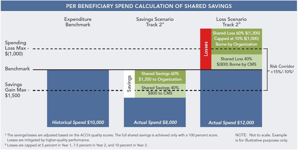 Medicare Shared Savings What Is the Opportunity? ECG Management