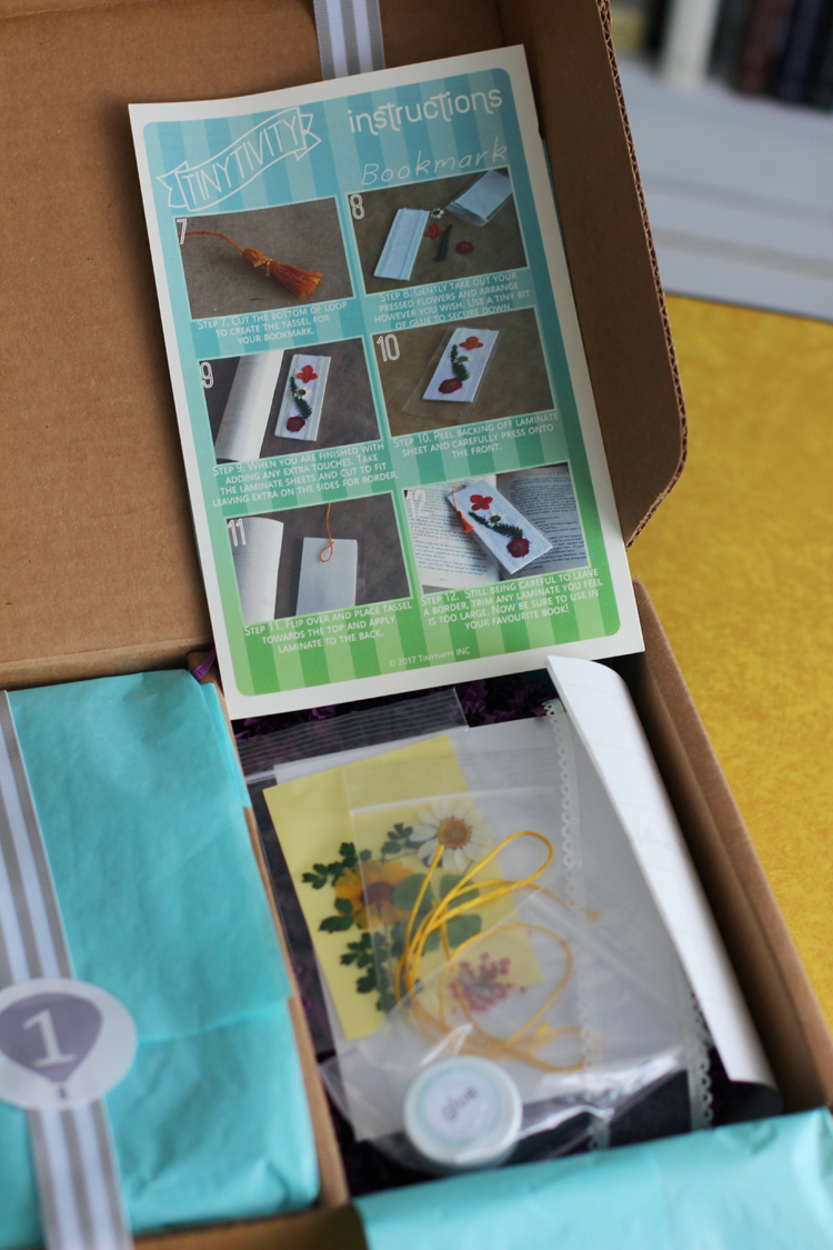 Tinytivity monthly craft box for kids