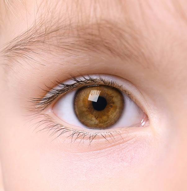 Dangers of Myopia Sqr.jpg