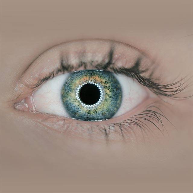 EYE IMAGE 3a.jpg