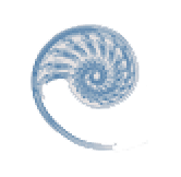Shell icon