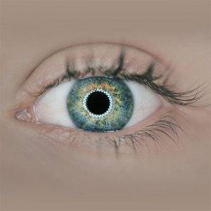 EYE IMAGE 3a