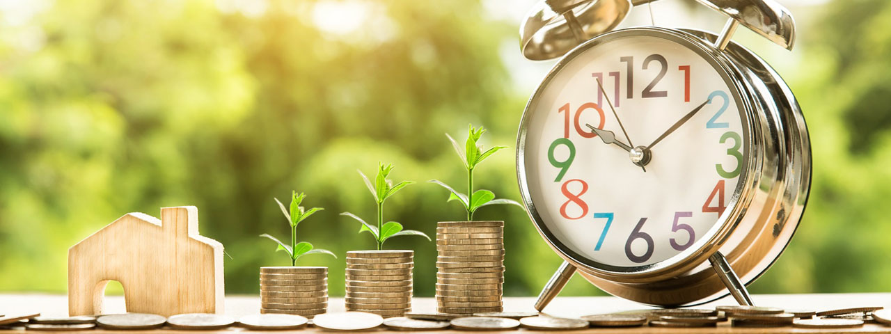 cost of orthok houston tx