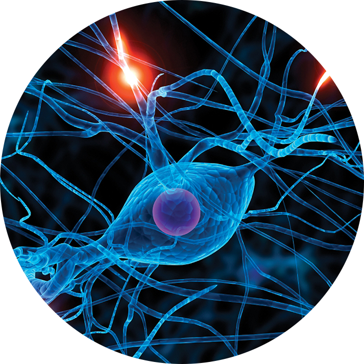 brain injury