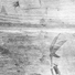 ED190