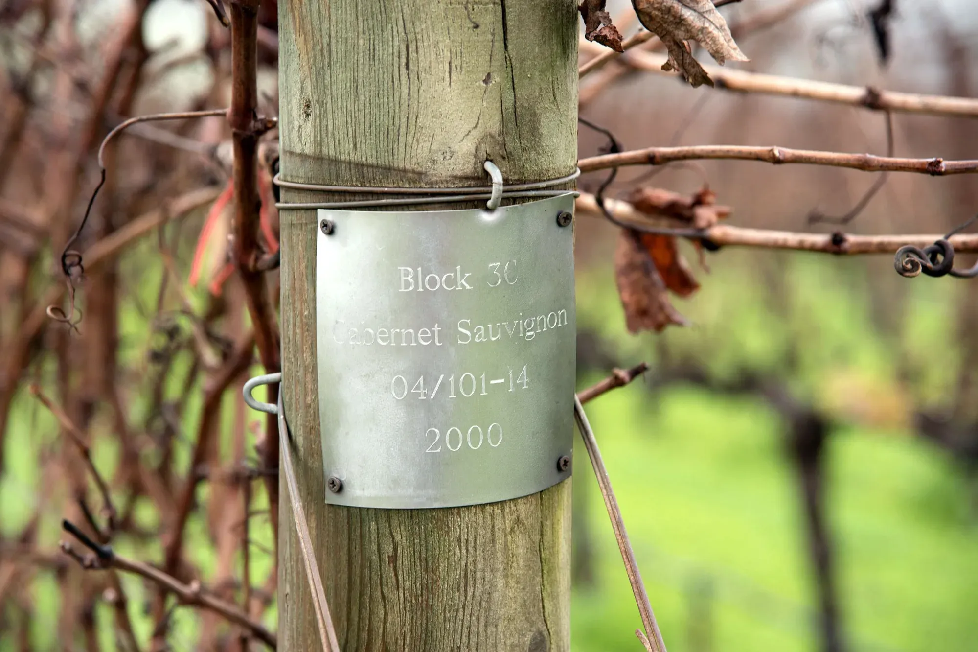 Silver vineyard marker hangs on the side of an end post