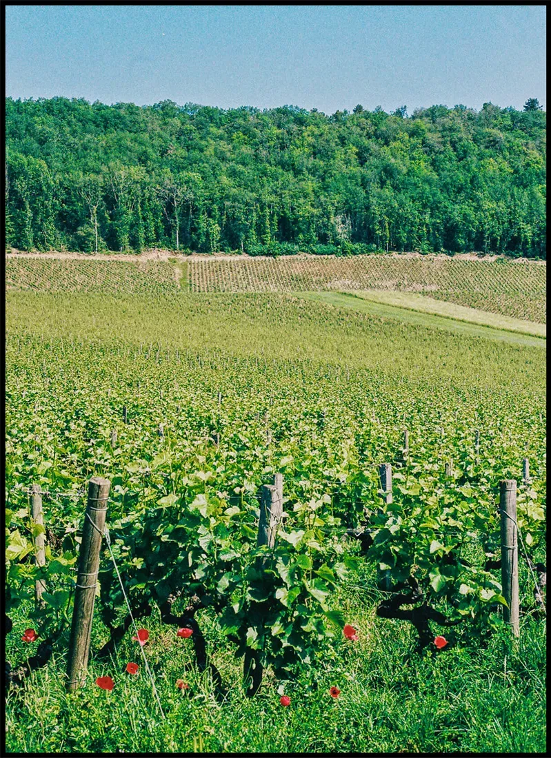 La Genelotte