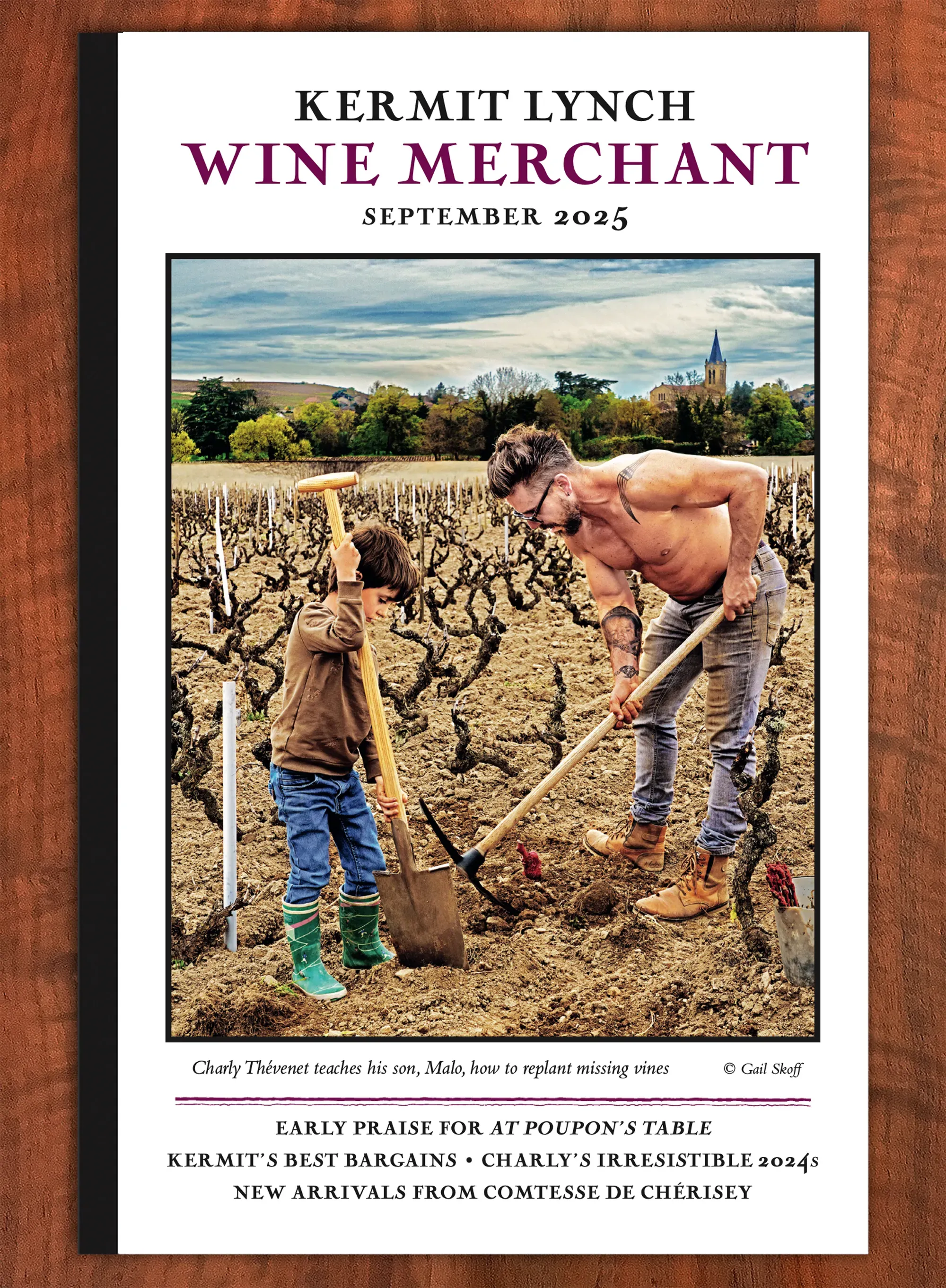 Charly Thévenet teaches his son, Malo, how to replant missing vines