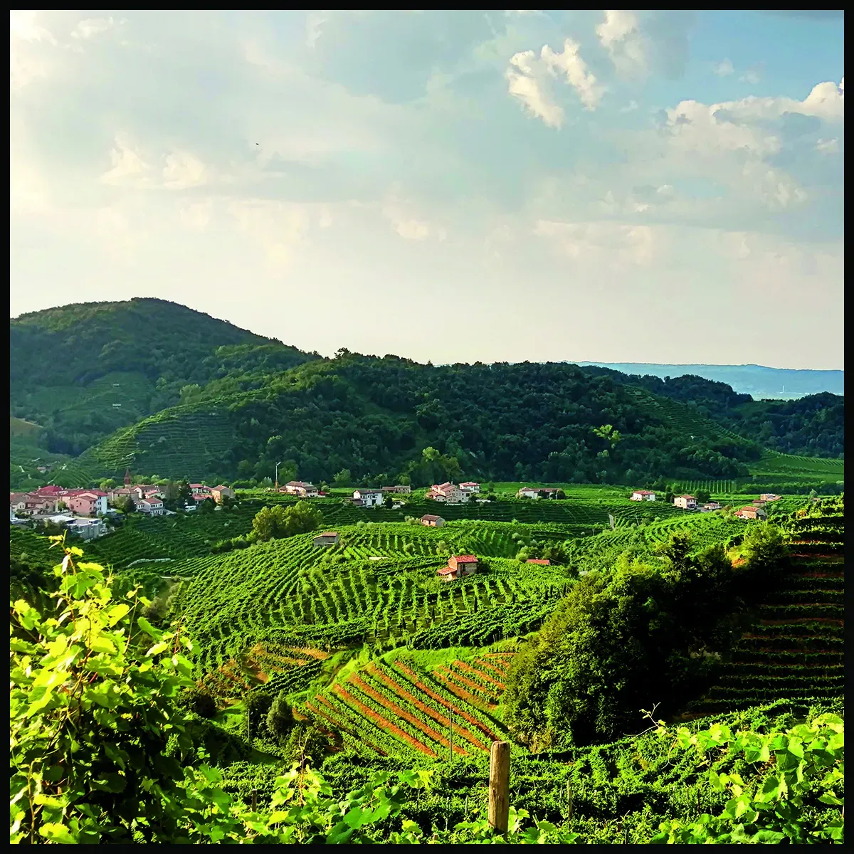 Valdobbiadene by Joanie Bonfiglio