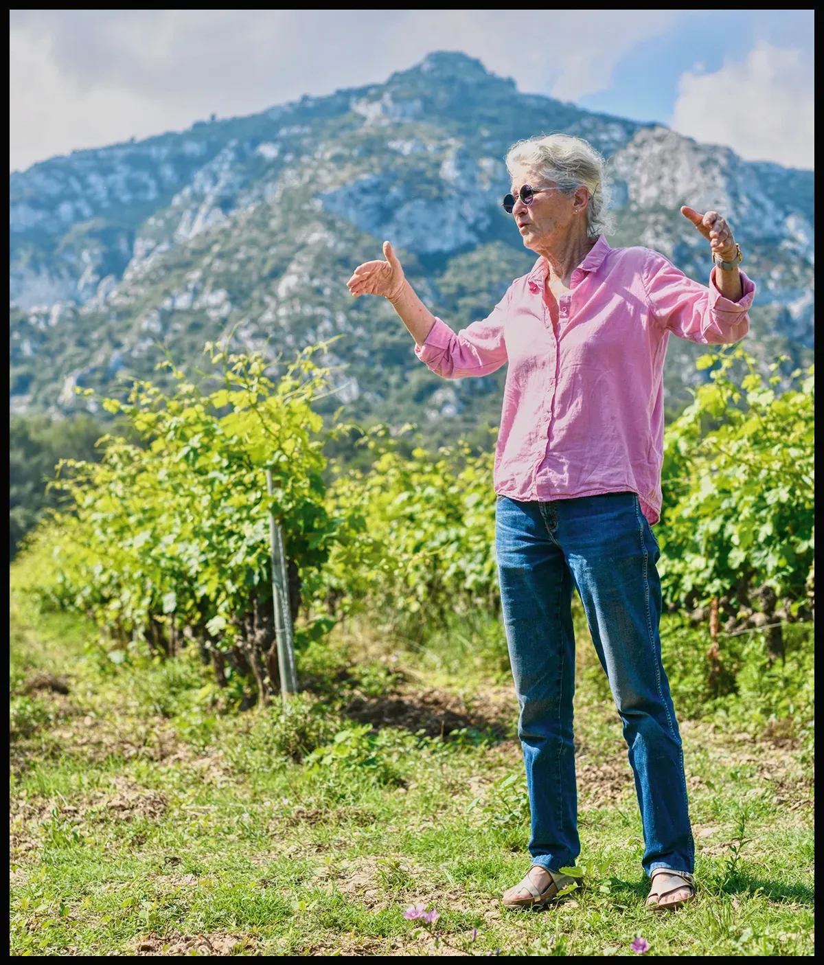 Dominique Hauvette