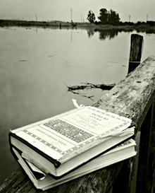 new york lecture january 26:  wine and loss - The Scholium Project