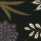 Flower_9