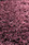 01_diamond_plum