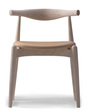 Ch20_asnl_front