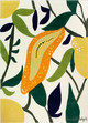 Fruitgarden