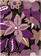 02_diggi_lilac