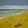 Strand mit Krabbe