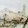 Venedig2