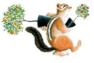 Chipmunk with pots
