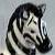 frozenzebra - Steve Terry avatar