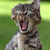 ryan - ryan whaley avatar