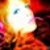 PoP cULtuRe VoO dOo - Jennifer Rose Reda avatar