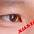 xusteve - steve xu avatar
