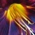 SapphirePhoenix - Elaine J. Wey avatar