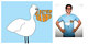 alettertoyou [Pelican] image