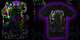 nerd_4life tee shirt design by exoticrobotic - ExoticRobotic
