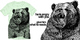 Bear Hugs image