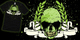 Skull Crest image