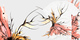 exploding vessels image
