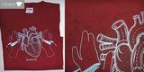 Christian Barnaard Christian Barnaard image