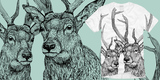 BIG BUCK$$$$  image