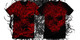 Red Skull image