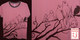 Lovebirds image