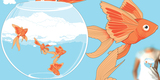 catch the sky!! image