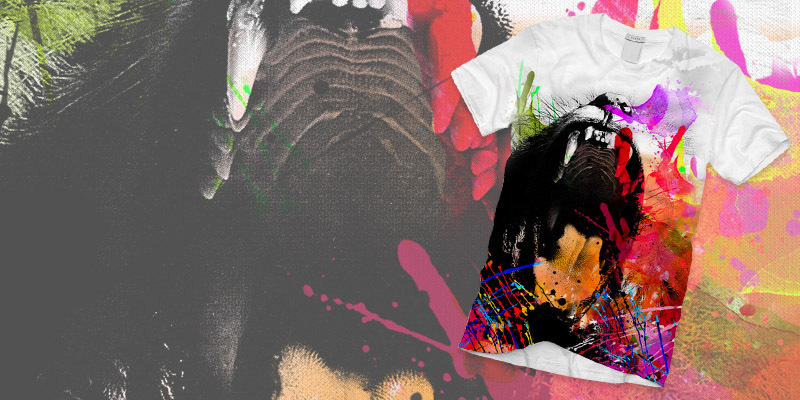 Roar of Colours image
