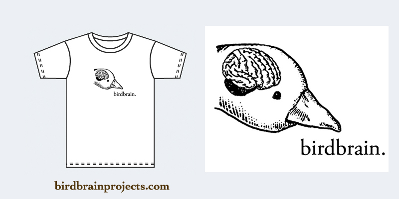 birdbrain logo tee image