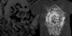 I want your skull image
