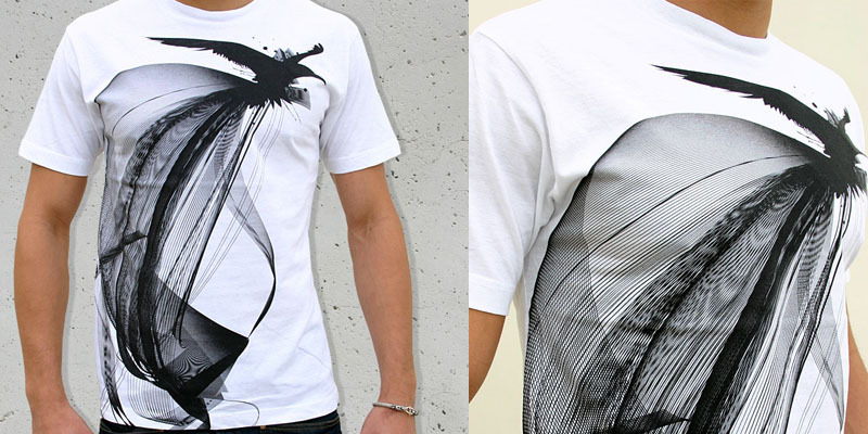 Migratory Pattern image