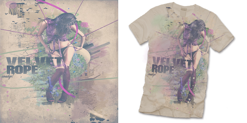 velvet rope image
